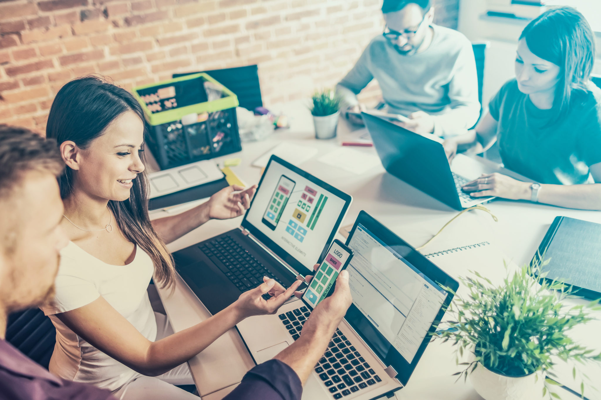 Front End .Net Consulting