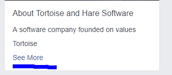 Facebook page visitors can click see more to view your complete bio