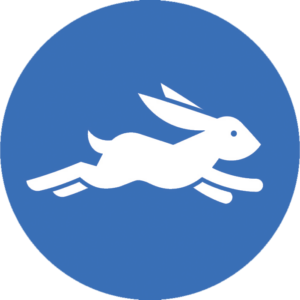 hare represents concept of speed on the web