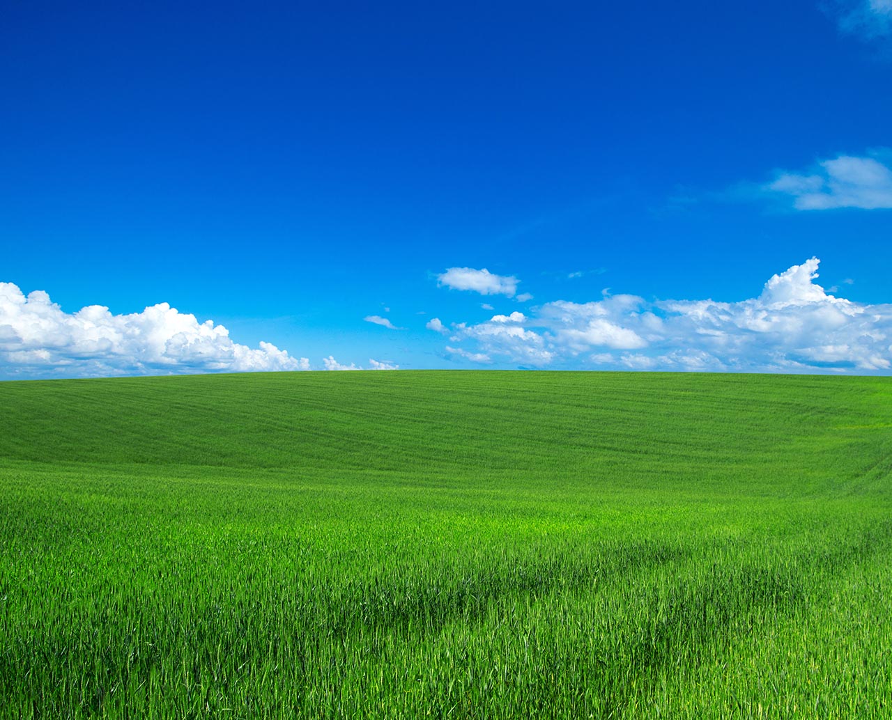 greenfield custom software applications