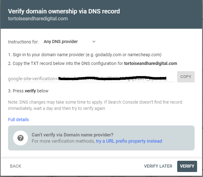 dns txt record verification in google search console