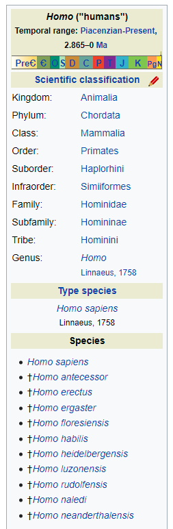 illustrating taxonomy as it relates to SEO