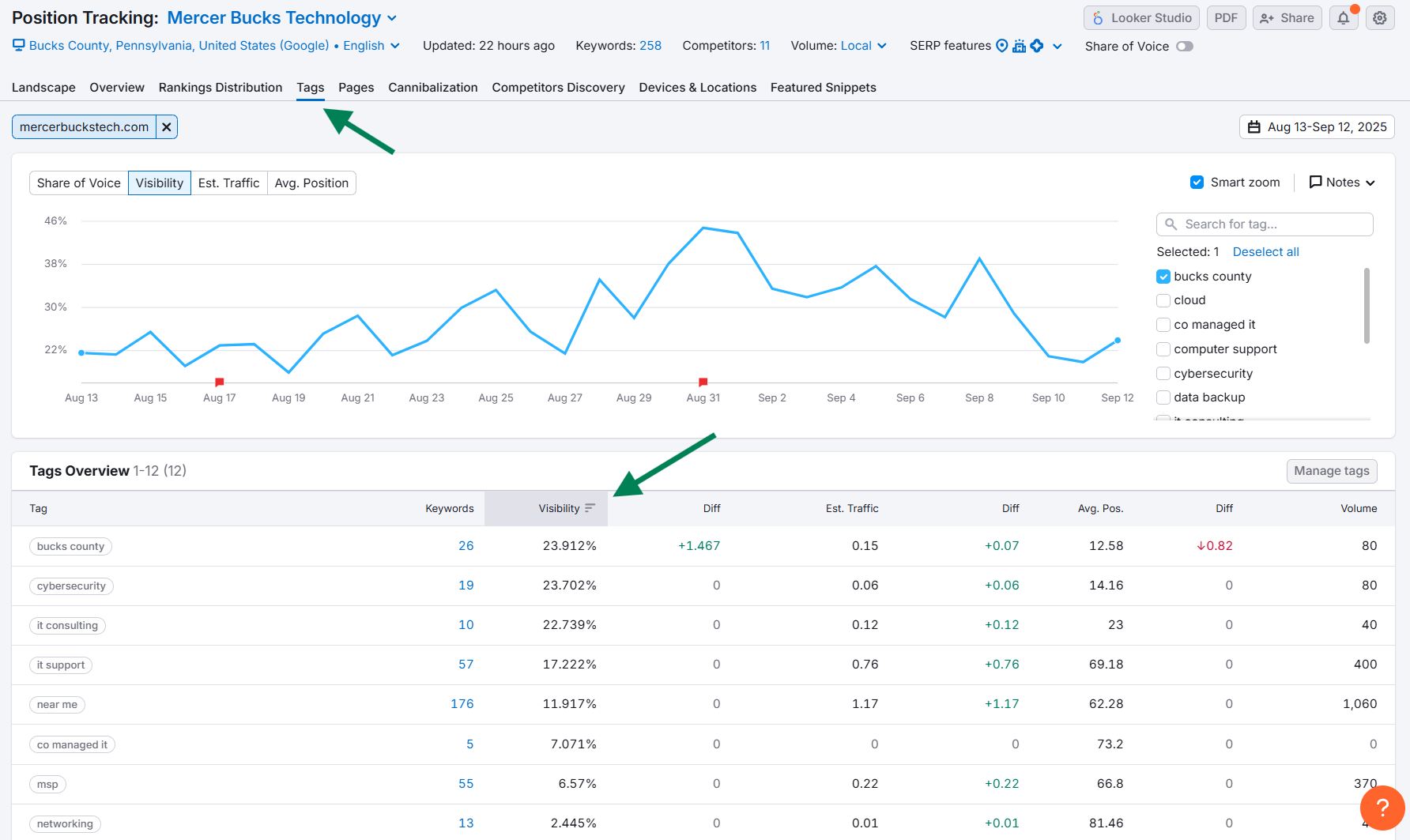 understanding seo visibility for various market segments with tags in semrush